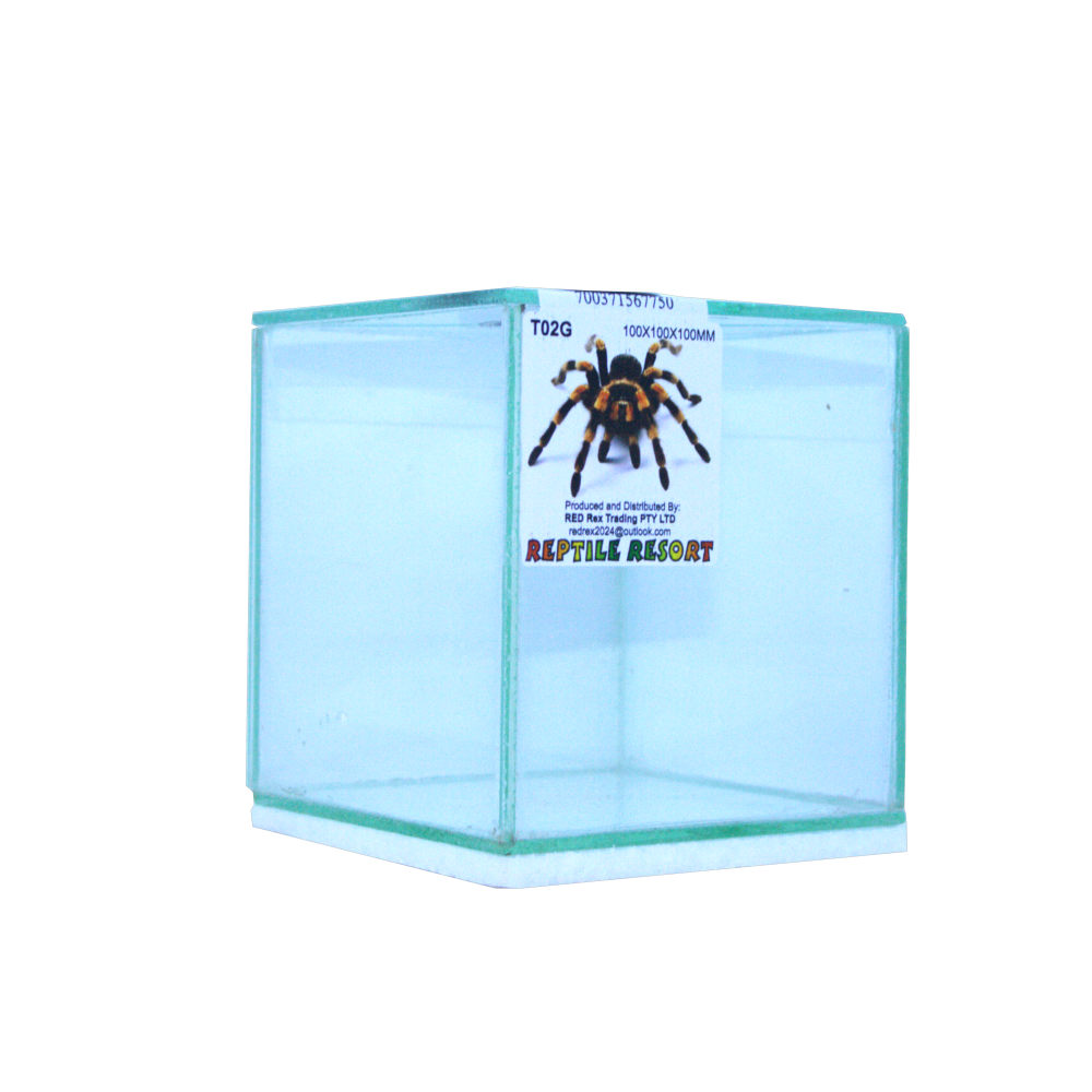 Reptile Resort T02G Glass Spider Enclosure 100x100x100mm