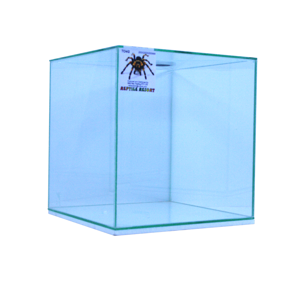 Reptile Resort T04G Glass Spider Enclosure 200x200x200mm