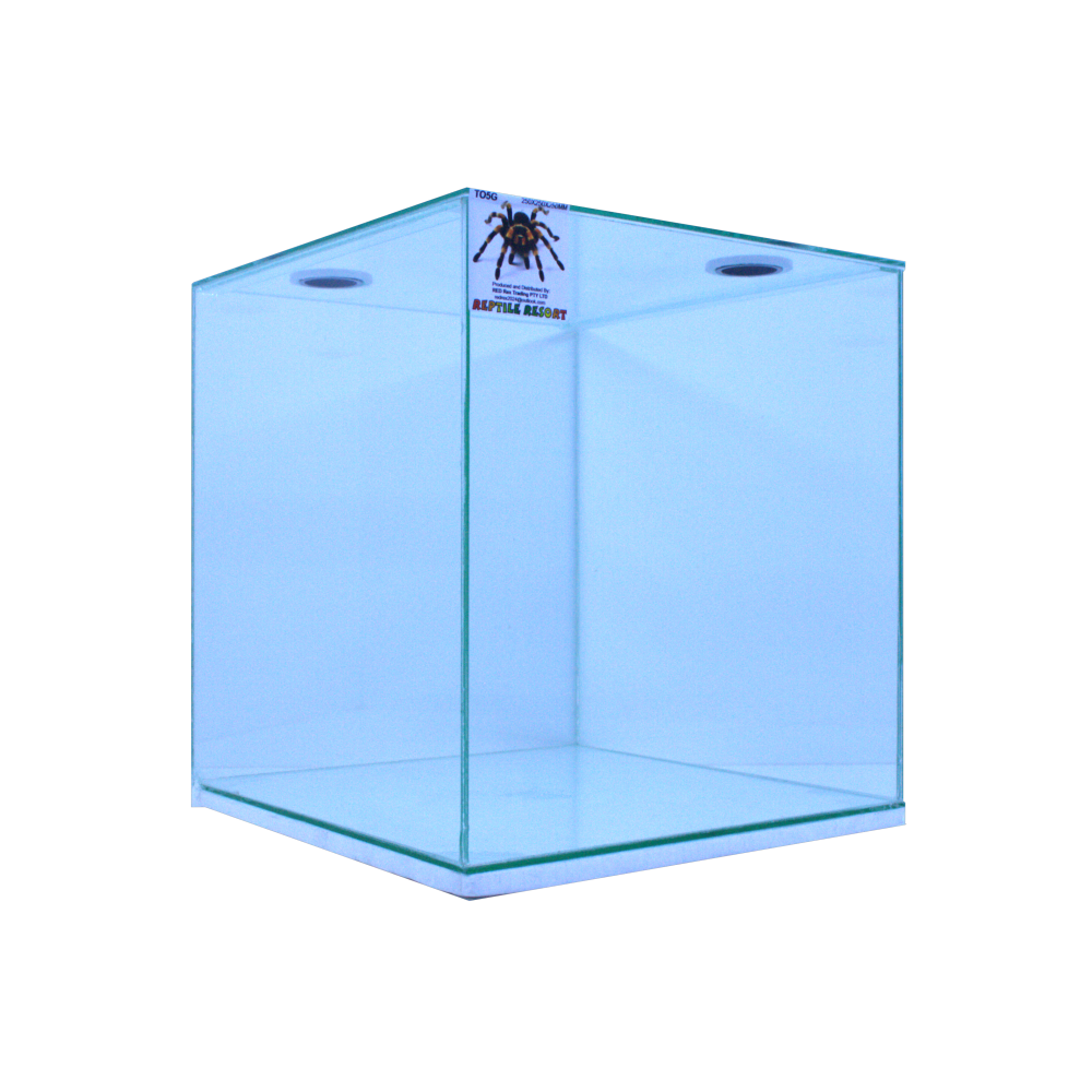 Reptile Resort T05G Glass Spider Enclosure 250x250x250mm