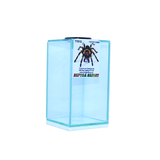 Reptile Resort TT01G Glass Spider Enclosure 70x70x120mm - view 2 of 3