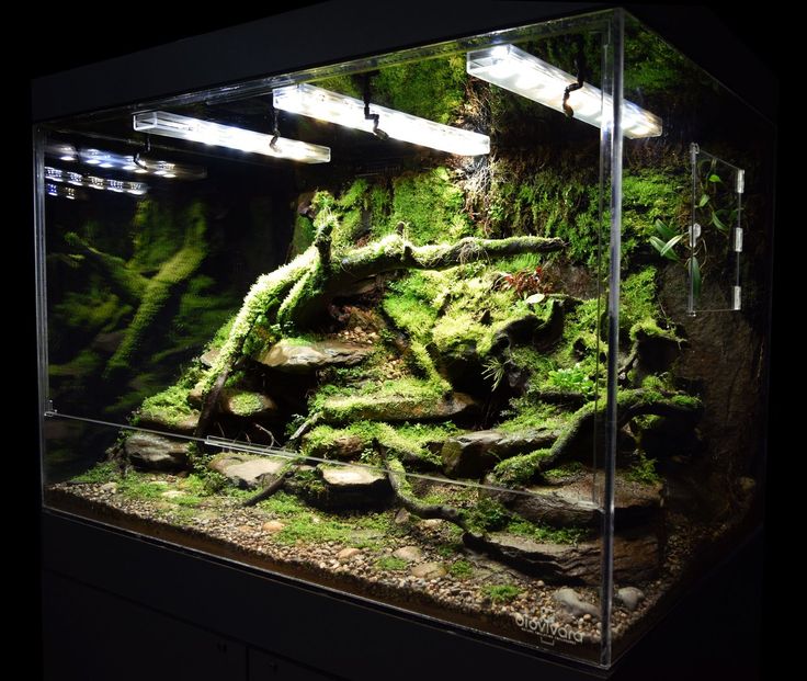 Vivariums.