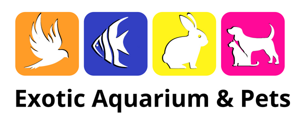 Exotic Aquariums & Pets