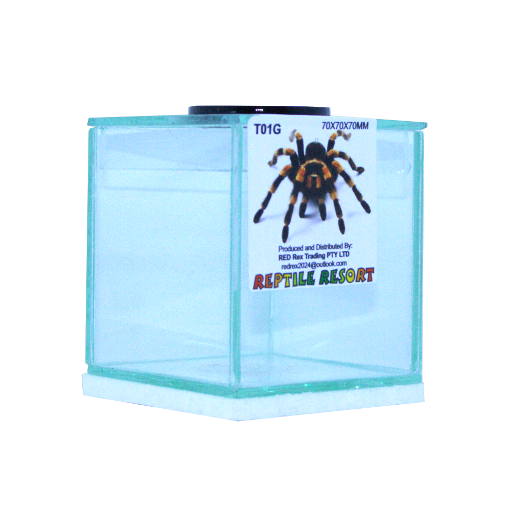 Reptile Resort T01G Glass Spider Enclosure 70x70x70mm