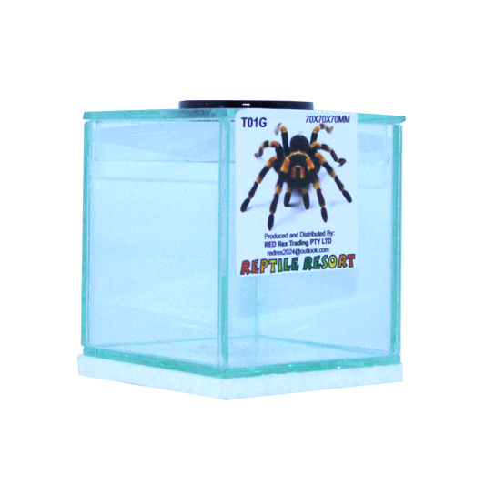 Reptile Resort T01G Glass Spider Enclosure 70x70x70mm
