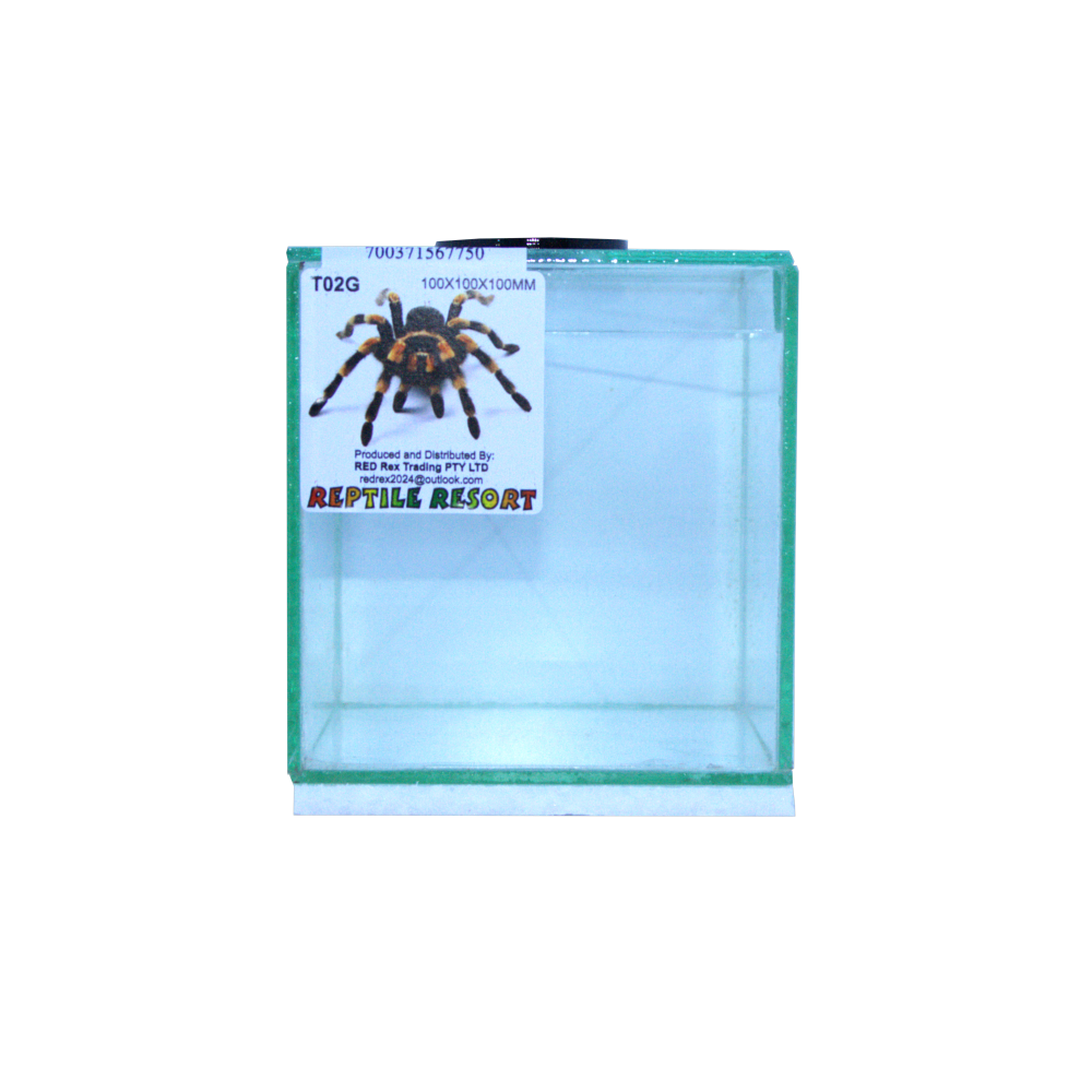 Reptile Resort T02G Glass Spider Enclosure 100x100x100mm