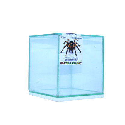 Reptile Resort T02G Glass Spider Enclosure 100x100x100mm