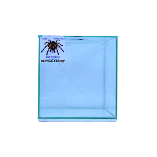 Reptile Resort T03G Glass Spider Enclosure 150x150x150mm