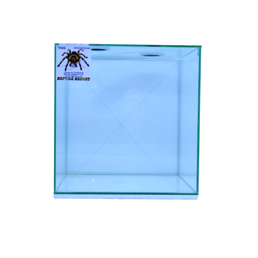 Reptile Resort T04G Glass Spider Enclosure 200x200x200mm