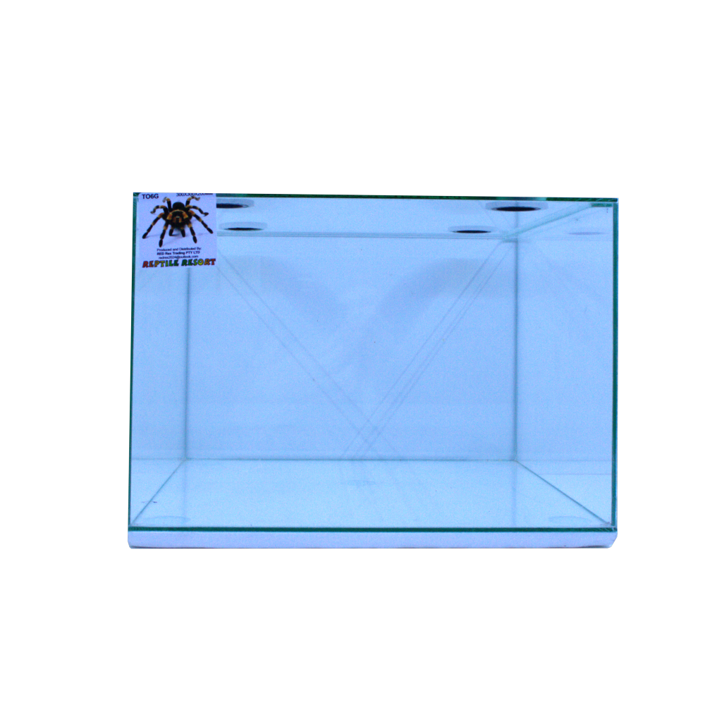 Reptile Resort T06G Glass Spider Enclosure 300x300x200mm