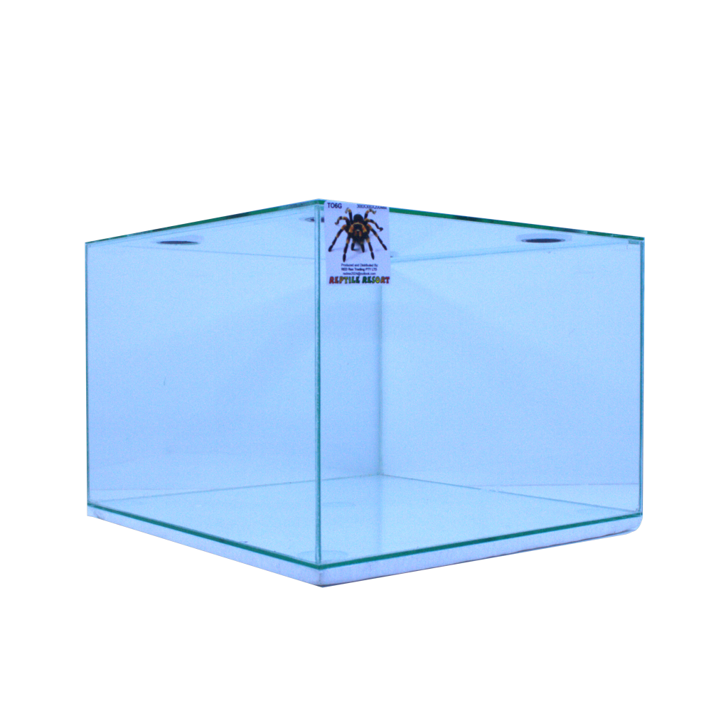 Reptile Resort T06G Glass Spider Enclosure 300x300x200mm