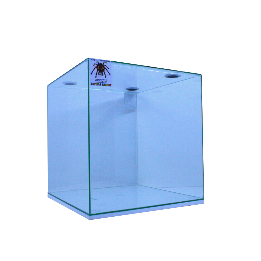 Reptile Resort T07G Glass Spider Enclosure 300x300x300mm