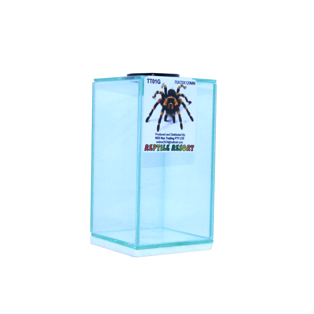 Reptile Resort TT01G Glass Spider Enclosure 70x70x120mm