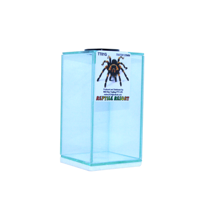 Reptile Resort TT01G Glass Spider Enclosure 70x70x120mm