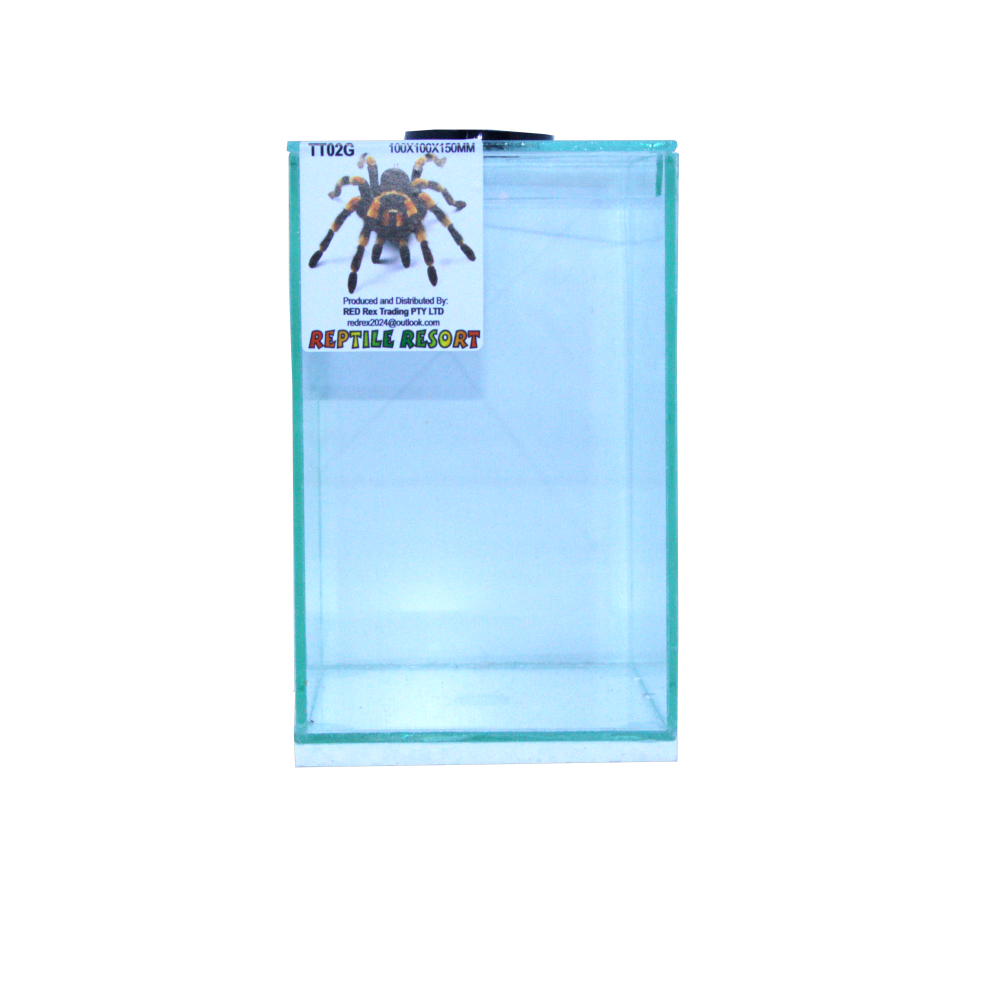 Reptile Resort TT02G Glass Spider Enclosure 100x100x150mm