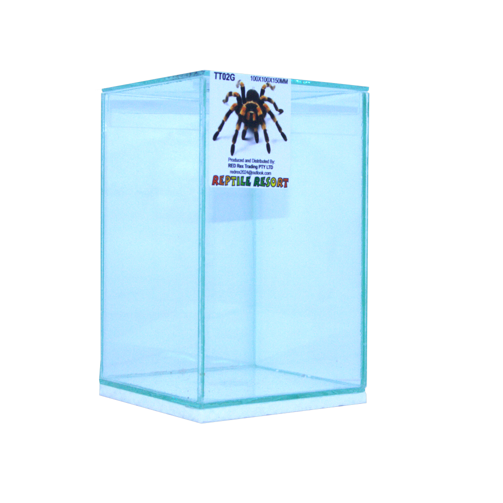 Reptile Resort TT02G Glass Spider Enclosure 100x100x150mm