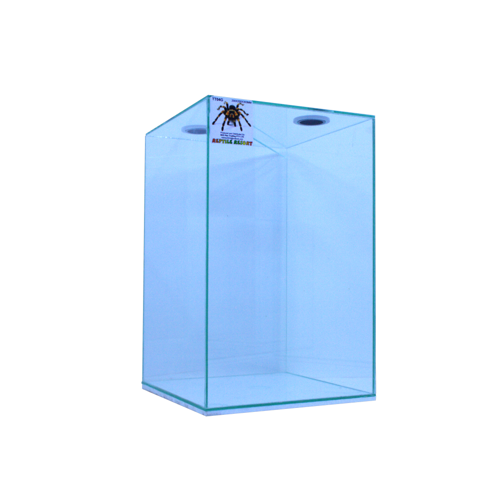 Reptile Resort TT04G Glass Arboreal Enclosure 200x200x300mm