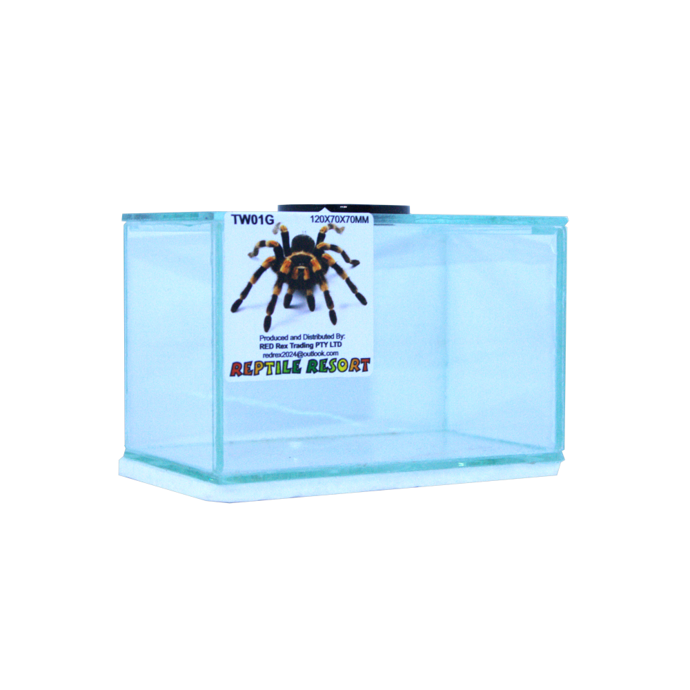 Reptile Resort TW01G Glass Spider Enclosure 120x70x70mm