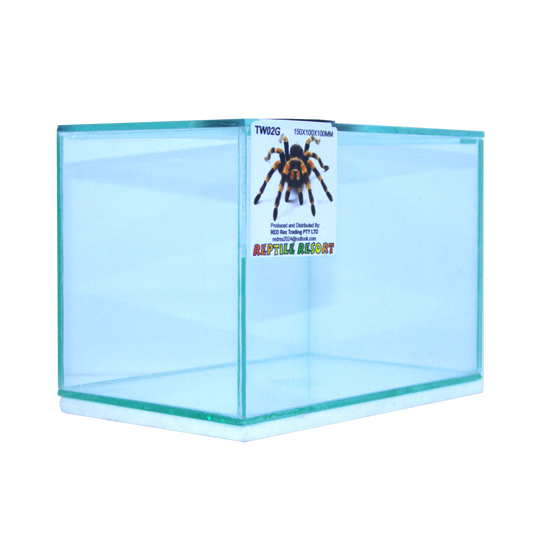 Reptile Resort TW02G Glass Spider Enclosure 150x100x100mm - view 2 of 3