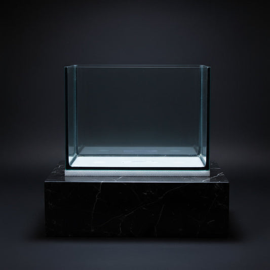 🐠 Black Diamond 1ft Polished Tank (305 x 225 x 225mm) – Black Silicone Series