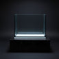 🐠 Black Diamond 1ft Polished Tank (305 x 225 x 225mm) – Black Silicone Series