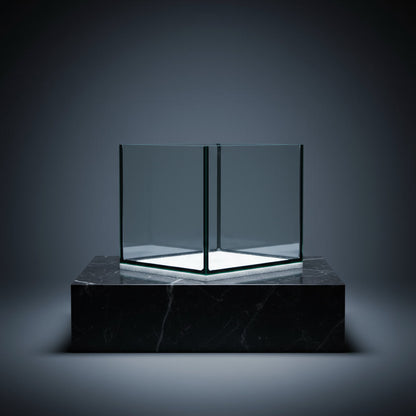 🐠 Black Diamond 1ft Polished Tank (305 x 225 x 225mm) – Black Silicone Series