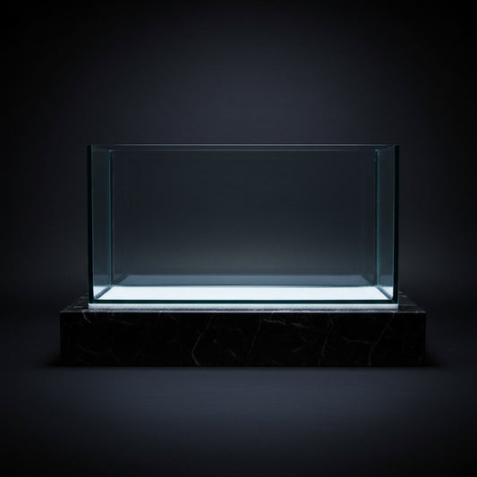 🐠 Black Diamond 2ft Polished Tank (610 x 305 x 305mm) – Black Silicone Series